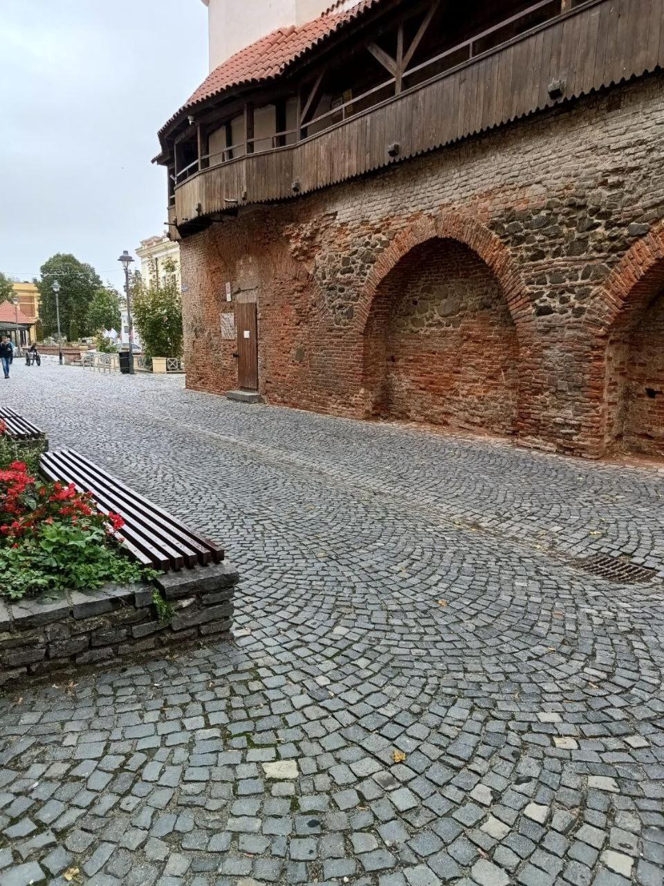 Old Town Cozy Nest Apartment Sibiu Exterior photo